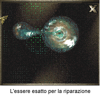 Immagine 17