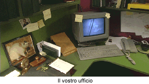 Immagine 8