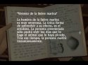 Immagine 32