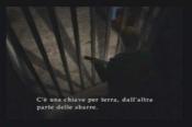 Immagine 28