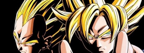 Dragon Ball Z: Tenkaichi Tag Team