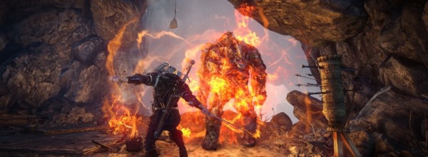 The Witcher 2: Assassins of King