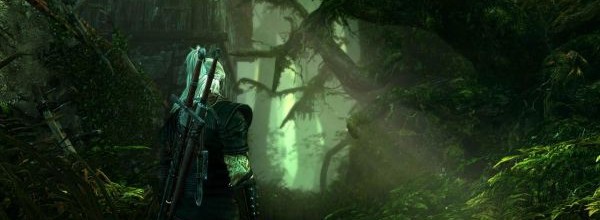 The Witcher 2: Assassins of King