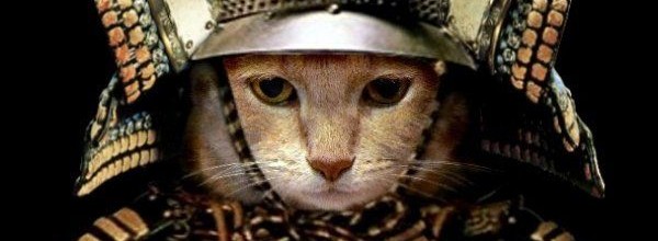 Tecmo Koei registra un logo felino