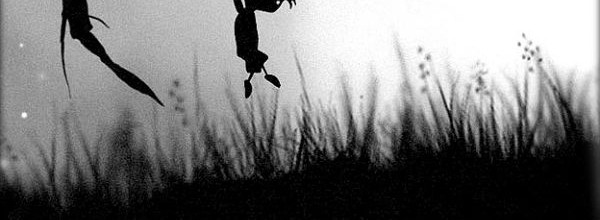 Un milione nel Limbo