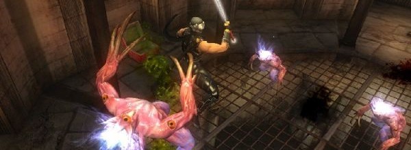 Ninja Gaiden Sigma