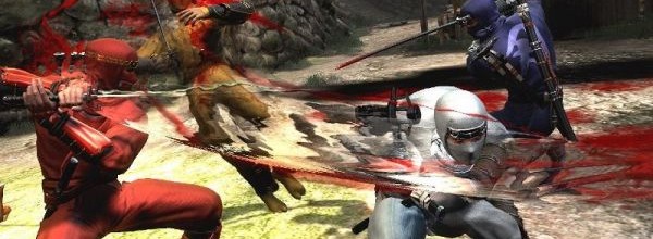 Ninja Gaiden 3