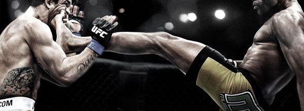 UFC Undisputed 3