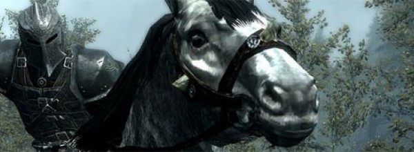 The Elder Scrolls V: Skyrim