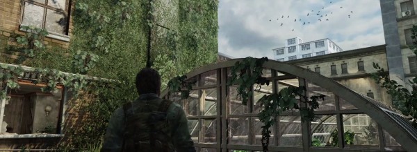 The Last of Us