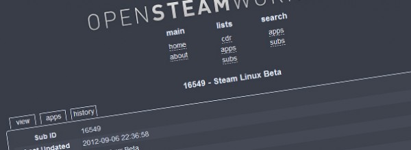 In arrivo la Beta di Steam per Linux