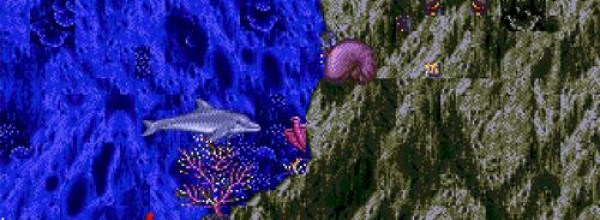 Ecco the Dolphin sta per tornare?