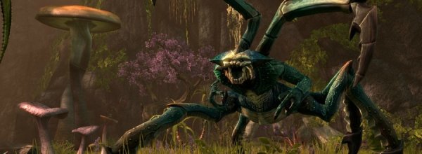 The Elder Scrolls Online