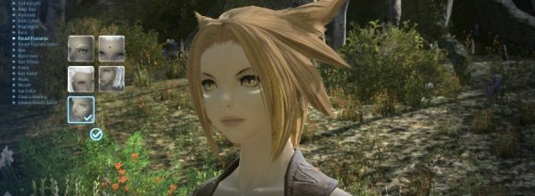 Final Fantasy XIV: A Realm Reborn