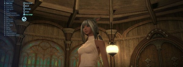 Final Fantasy XIV: A Realm Reborn