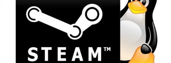 La beta di Steam Linux cresce