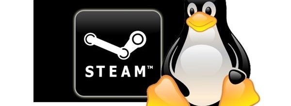 Steam su Linux: la beta  pubblica