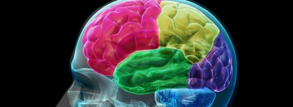 Japan Studio sfida il cervello su PS Vita