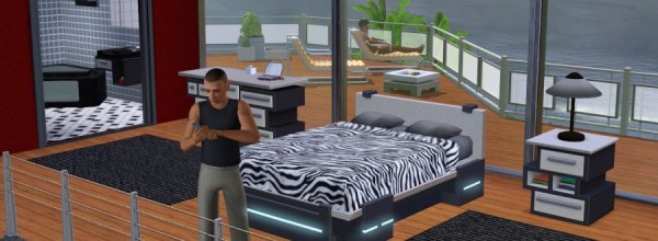 The Sims 3