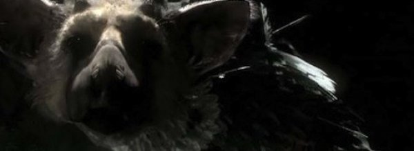 The Last Guardian