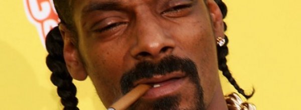 Way of the Dogg