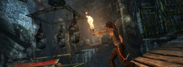 Tomb Raider (2013)