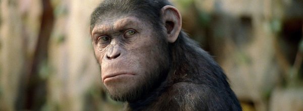 Apes Revolution: Il Pianeta delle Scimmie