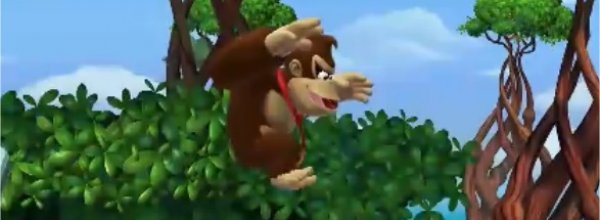 Donkey Kong Country: Tropical Freeze