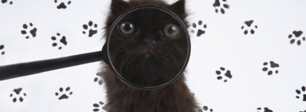 Xbox One meno ingombrante del previsto?