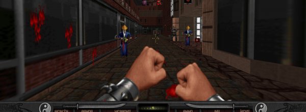 Shadow Warrior
