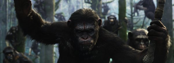 Apes Revolution: Il Pianeta delle Scimmie