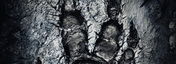 Evolve