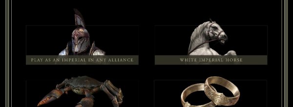 The Elder Scrolls Online