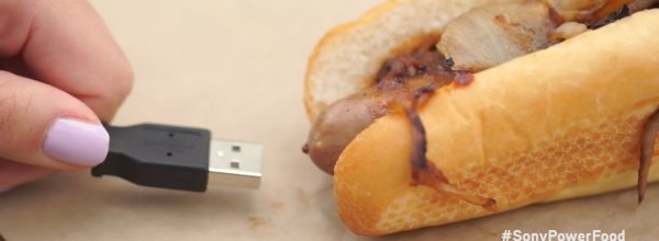 Sony trae energia dai principi nutritivi basilari