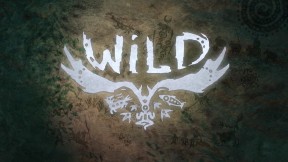 WiLD PS4 Cover
