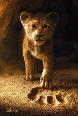 Il Re Leone Cover