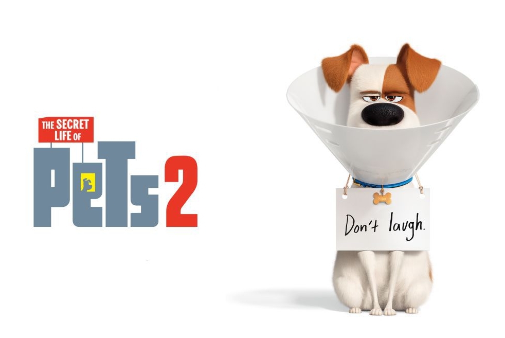 Recensione Pets 2 - Vita da Animali