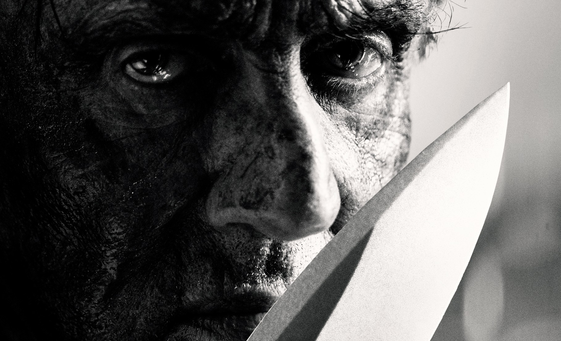 Recensione Rambo: Last Blood