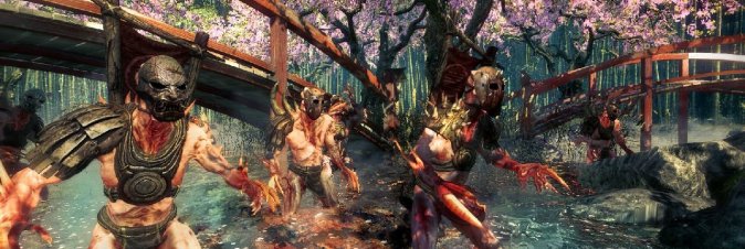 Shadow Warrior