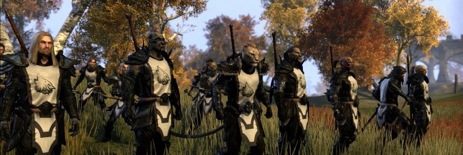 The Elder Scrolls Online