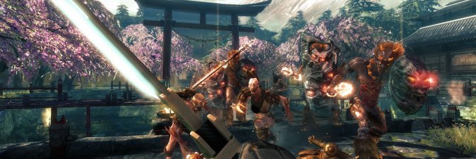 Shadow Warrior