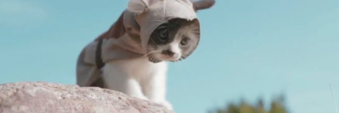 Assassin's Creed: Unity