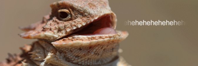 Lizard Squad  stata ufficialmente smantellata