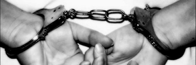 Lizard Squad: un arresto in UK, sospetti in Finlandia