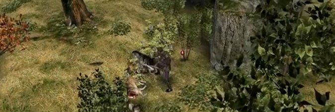 The Witcher