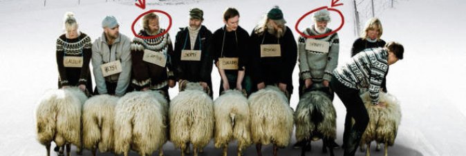 RAMS - Storia di due Fratelli e Otto Pecore