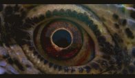 Voyage of Time