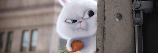 Pets - Vita da Animali