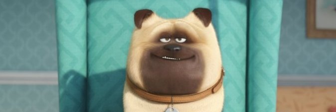 Pets - Vita da Animali