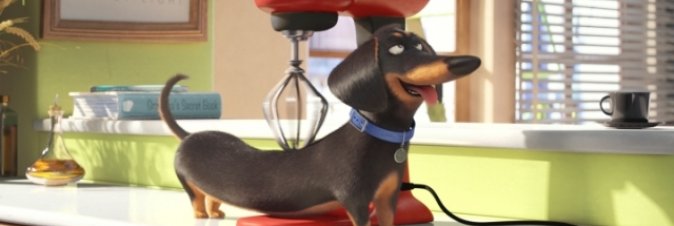 Pets - Vita da Animali